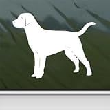Black Lab Labrador Retriever Dog White Sticker Decal Car Window Wall Macbook Notebook Laptop Sticker Decal