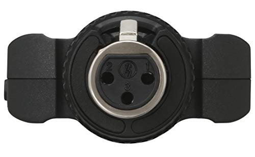 2 Tascam+DR+10X+Digital+Recorder+Microphones