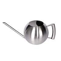 E.Palace Water Can with Long Spout for Indoor Plants Brushed Stainless Watering Pot 33oz