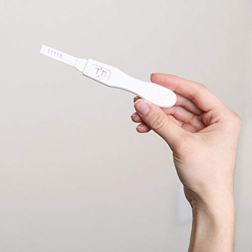 BEST Fake Pregnancy sealed Test Positive Practical Joke Prank Gag 2