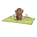 Lovepop Star Wars™ Chewbacca™ RARRRGGHH! Pop Up Card, 3D Card, Birthday Card, Greeting Card