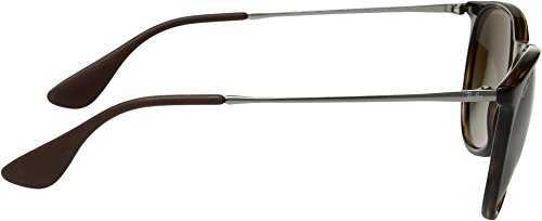 Ray-Ban Unisex Erika RB4171 54mm Transparent Brown/Brown Gradient Sunglasses