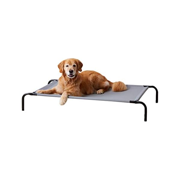 xl elevated dog bed