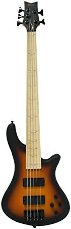 Fretless 5 String Electric Bass, Bolt-On Maple Neck & Fingerboard
