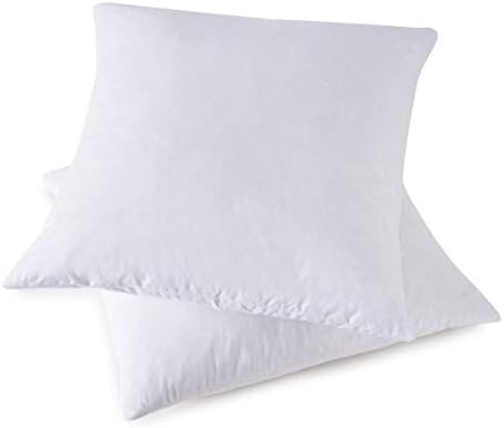 Set of 2, 95% Feather 5% Down Square Decorative Throw Pillow Insert, Cotton Cover, 24x24 Inch