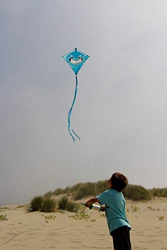 1 Breeze+Kite+Spool+500+Feet+Twisted