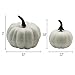YOFIT 12 Pcs Thanksgiving Table Decorations Artificial Pumpkins, Fake Mini Plastic Pumpkins, Lifelike Simulation Foam Pumpkins Set Friendgiving Tabletop Decorations (White)