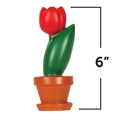 Learning Resources CrossSection Flower Model, Classroom Foam