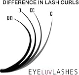 Eyeluvlashes Classic Silk Lash Trays D Curl 0.20 Mix 8-15mm Professional view 5