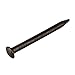 RDEXP Black Round Head Wood Screw Nail Decorative Furniture Miniature Nail Lenght 1.8cm/0.71