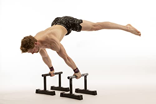 RAMASS Parallele Calisthenics, Gymnastics, Fitness, Free Body for Men and Women, Steel Alloy