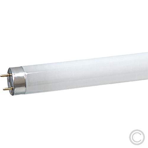 Osram L18860 - 18W 600mm / 2ft Daylight Triphosphor T8 Fluorescent Tube G13 Cap