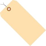 Aviditi G10083 13 Point Cardstock Pre Wired Shipping Tag, 6-1/4