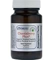 Metagenics - Chasteberry Plus 60T [Health and Beauty]