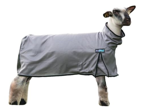 Weaver Livestock ProCool Sheep Blanket