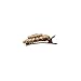 2 Retro Boho Bohemian Tribal Gem Stone Studded Gold Hair Clip Bobby Pin Accessories Set