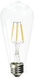 Homestia LED Clear ST64 6W 220V Warm Lighting Filament High Operating Life Antique Edison Style Bulb(6 pack)