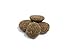 NUTRO MAX Large Breed Puppy Recipe Dry Dog Food With Farm-Raised Chicken, 25 LB Bag