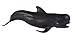 Safari Ltd. Pilot Whale Figurine - Lifelike 5.75