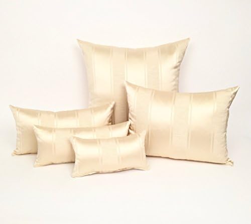 5 Piece Starter Modern Striped Ivory Cream Purse Shaper Set for Luxury Handbags,