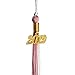 GraduationMall Alloy Year Charm for Graduation Tassel 2021 2022 Gold Silver Bling (Gold 2019, 2019)