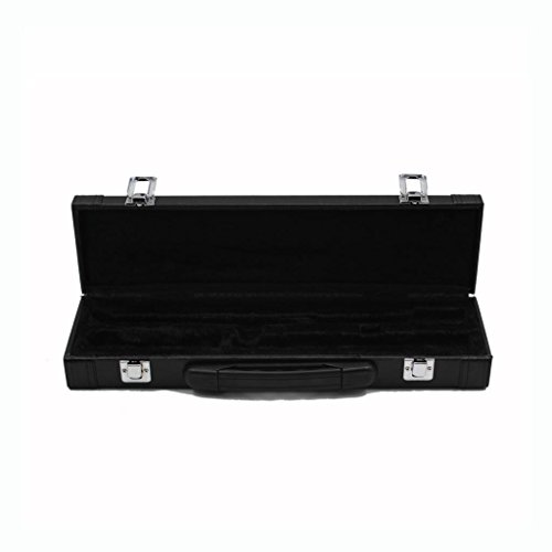 image for Baoblaze Durable Picccolo Flute Hard Case Cover Bag with Carry Handle 