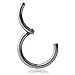 Ruifan 1PC Stainless Steel Hinged Seamless Segment Hoop Septum Clicker Ring Lip Helix Tragus Cartilage Earrings Nose Rings Pirecing 16g 10mm Steel