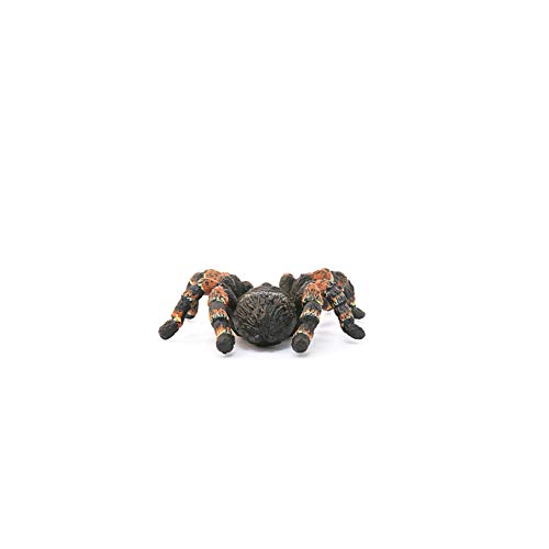 schleich 14829 Vogelspinne, für Kinder ab 3+ Jahren, WILD LIFE - Spielfigur – Bild 6