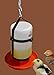 Your Happy Chicks 1 Qt. Hanging Harness (Adjustable, Glass or Plastic Jars)