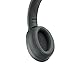 Sony - H900N Hi-Res Noise Cancelling Wireless Headphone Grayish Black (WHH900N/B)