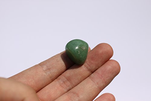 Chillipepperstone 12 Semiprecious Gemstone Box Collection Stones Rock, Natural Polished, 1/2 to 3/4 Inch
