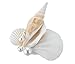 Lillian Rose Coastal Beach Wedding Seashell Boutonniere