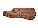 MagNaturals 37095 Rock Ledge, Medium, Mojave