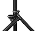 Ultimate Support TS-100B Lift-Assist Speaker Stand (Single)