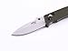 Firebird Knife F704 GANZO Pocket Folding Hunting Knife G-10 Handle SS Blade (Green)