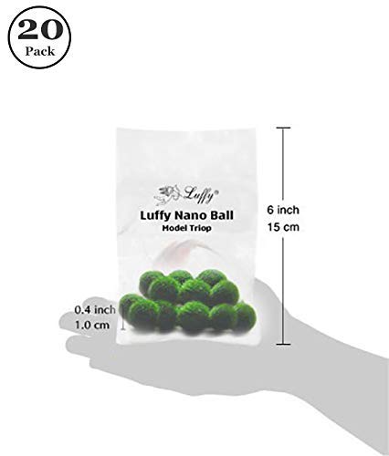 Luffy 20 Nano Marimo Moss Balls by Naturally Round and Vibrant Green 0.4" Living Aquatic Plants - Long Lasting and Easy to Care for - Perfect as a First Pet or DIY Home Decoration