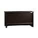 Sauder Shoal Creek Storage Chest, Toy Storage Chest for Living Room, Storage Trunk, in Jamocha Wood