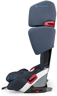 black and blue concords