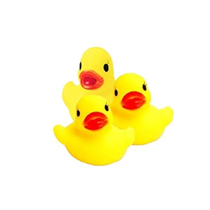 novelty ducks