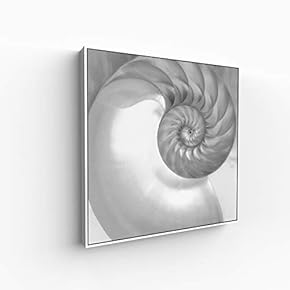 Canvas Wall Art for Living Room, Bedroom Portrait Framed Canvas Prints for Home Decoration Ready to Hang - 16x16 inches