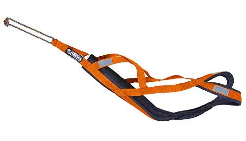 Neewa Sled Pro Harness (Medium, Orange), Dog Pulling Harness, Husky Harness, Mushing Harness, X Back Harness Dog for Dog Exercise, Bikejoring, Skijoring, Dog Sledding, Canicross, Dog Harness