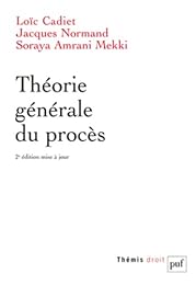 Théorie générale du procès