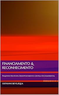 Livro Financiamento & Reconhecimento: Pequenos Negócios, Desenvolvimento e Justiça Socioambiental (Pequenos Negócios e Desenvolvimento Social e Econômico)