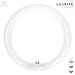 Luxrite LR20585 (6-Pack) FC12T9/D 32-Watt 12 INCH T9 Fluorescent Circular Light Bulb, Daylight 6500K, 1600 Lumens, G10Q 4-Pin Base