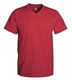 Hanes Men's Cotton Nano V-Neck T-Shirt,Vintage Red,Large