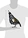 Regal Art & Gift Quail Decor
