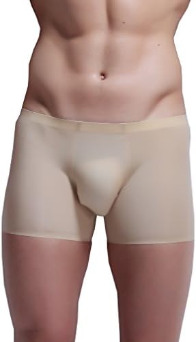 WINDAY Men's Brief Ice Silk Bikini Underwear Low Rise Seamless Breathable Briefs