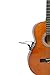 Hamsaz,Guitar Support for guitar players