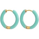 Minimalist Chunky Tube Samll Hoop Earring for Women Stainless Steel Enamel Earring Colorful Round Shaped Huggie Hoops Earring Cartilage Piercing Geometric Jewelryfor Christmas Halloween Holiday