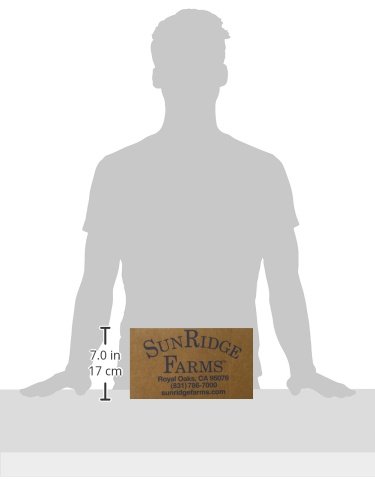 Sunridge Farms Candy, Milk Chocolate Covered Cherries, 10 Pound - Thumbnail 5